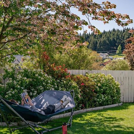 Mountain View Backpackers Vandrarhem Wanaka Exteriör bild